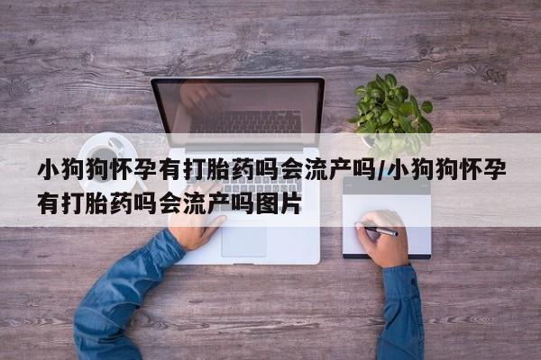 现在买打胎药怎么买多少钱小狗狗怀孕有打胎药吗会流产吗/小狗狗怀孕有打胎药吗会流产吗图片