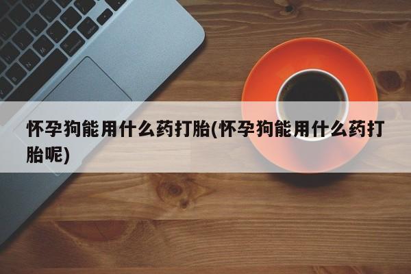 现在买打胎药怎么买多少钱怀孕狗能用什么药打胎(怀孕狗能用什么药打胎呢)