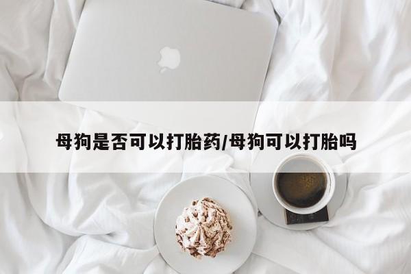 现在买打胎药怎么买多少钱母狗是否可以打胎药/母狗可以打胎吗