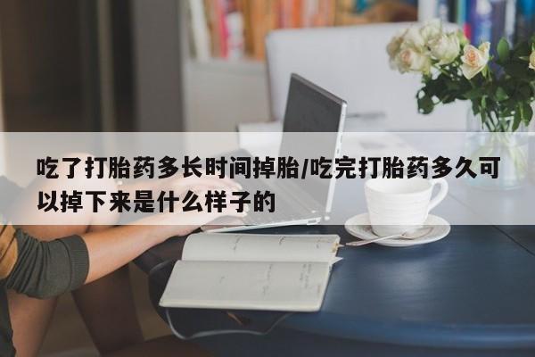 现在买打胎药怎么买多少钱吃了打胎药多长时间掉胎/吃完打胎药多久可以掉下来是什么样子的